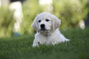 194757158_1401958833495716_912844989908416662_n