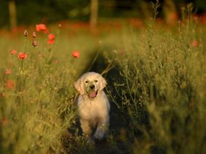 200473593_1410865132605086_4366040906761541750_n