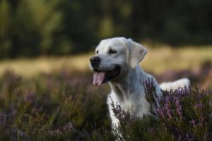 241982793_1474445386247060_7963231656590609868_n