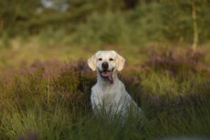 242002325_1474447172913548_4475442966547709129_n