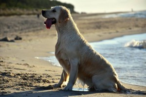 14249220 298164970541780 1317774131 n