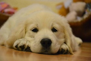 14302453 298164913875119 363847402 n